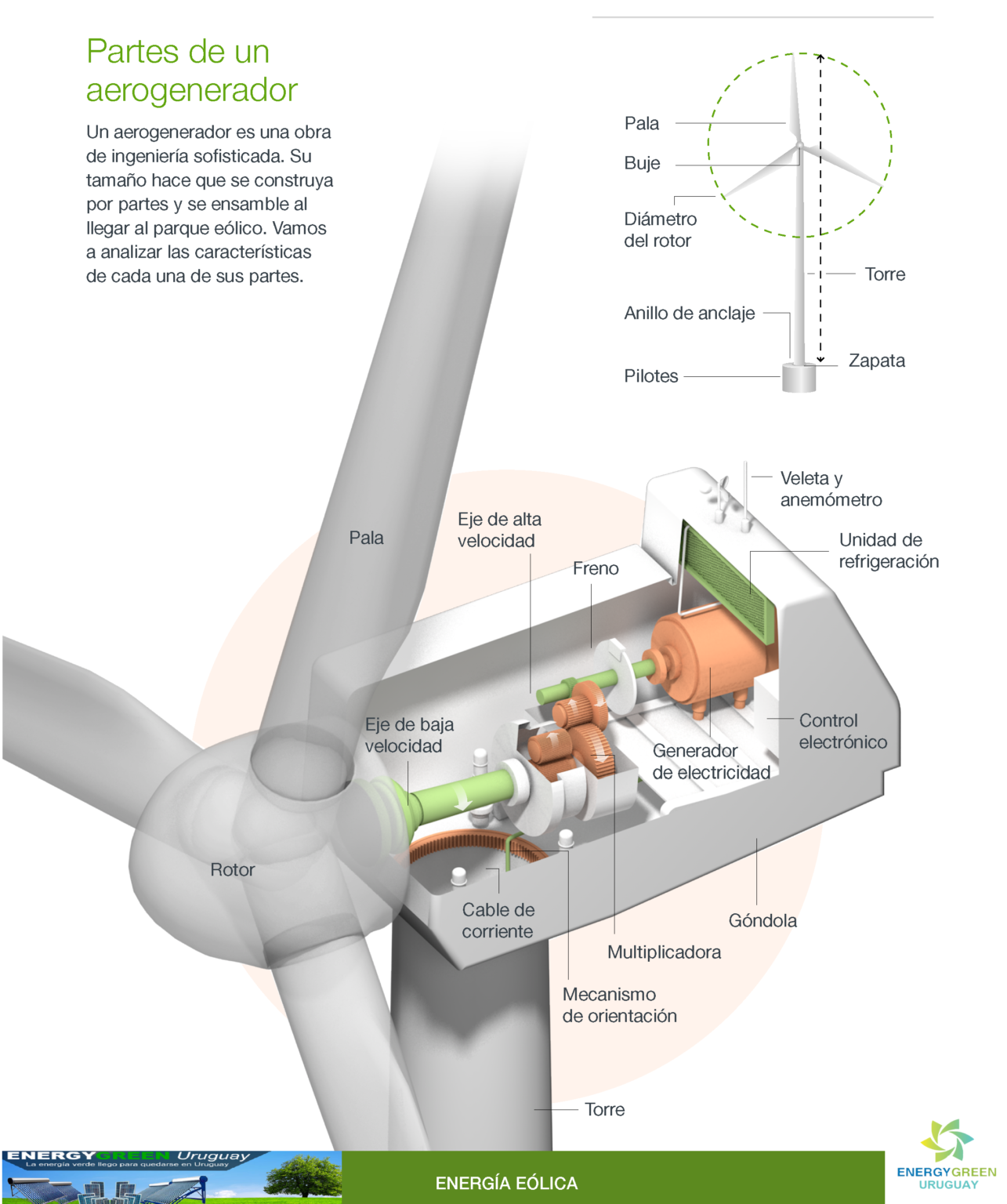 Tipos De Energia Eolica